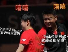 开云APP-中国队完胜德国队，王皓关键制胜