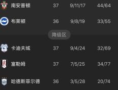 开云体育下载-包含卡迪夫城保级之路坎坷，英超生涯悬疑的词条