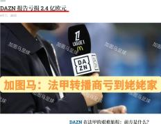 开云体育平台APP-桑普多利亚客场负于昂热，法甲表现令人失望的简单介绍