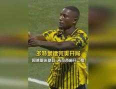 开云体育APP下载-多特蒙德双星助攻，惊艳演绎胜利