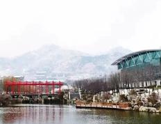 开云体育官网-青岛黄海阵中潜力新星崭露头角，获得赞誉