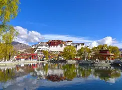 开云体育平台APP-关于西藏冠军在望：沁水队风生水起，注定夺得殊荣的信息