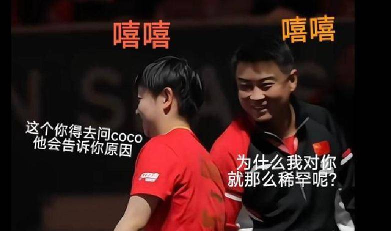 开云APP-中国队完胜德国队，王皓关键制胜